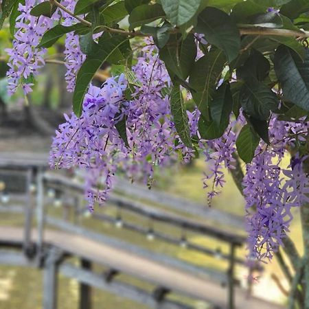 Damnoen Saduak Baan Klong Resort מראה חיצוני תמונה